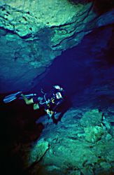 Cave diver in Chuck Moole cenote in the Riveria Maya, Yuc... by Rick Swart 